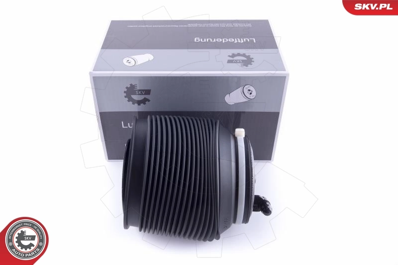 Air Spring, suspension